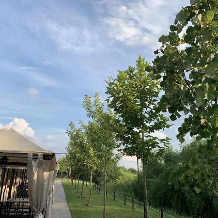 Hanul Cocosul Vitanesti Buitenkant foto